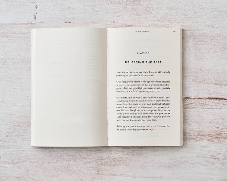 Thought Catatlog | The Mountain Is You | Book