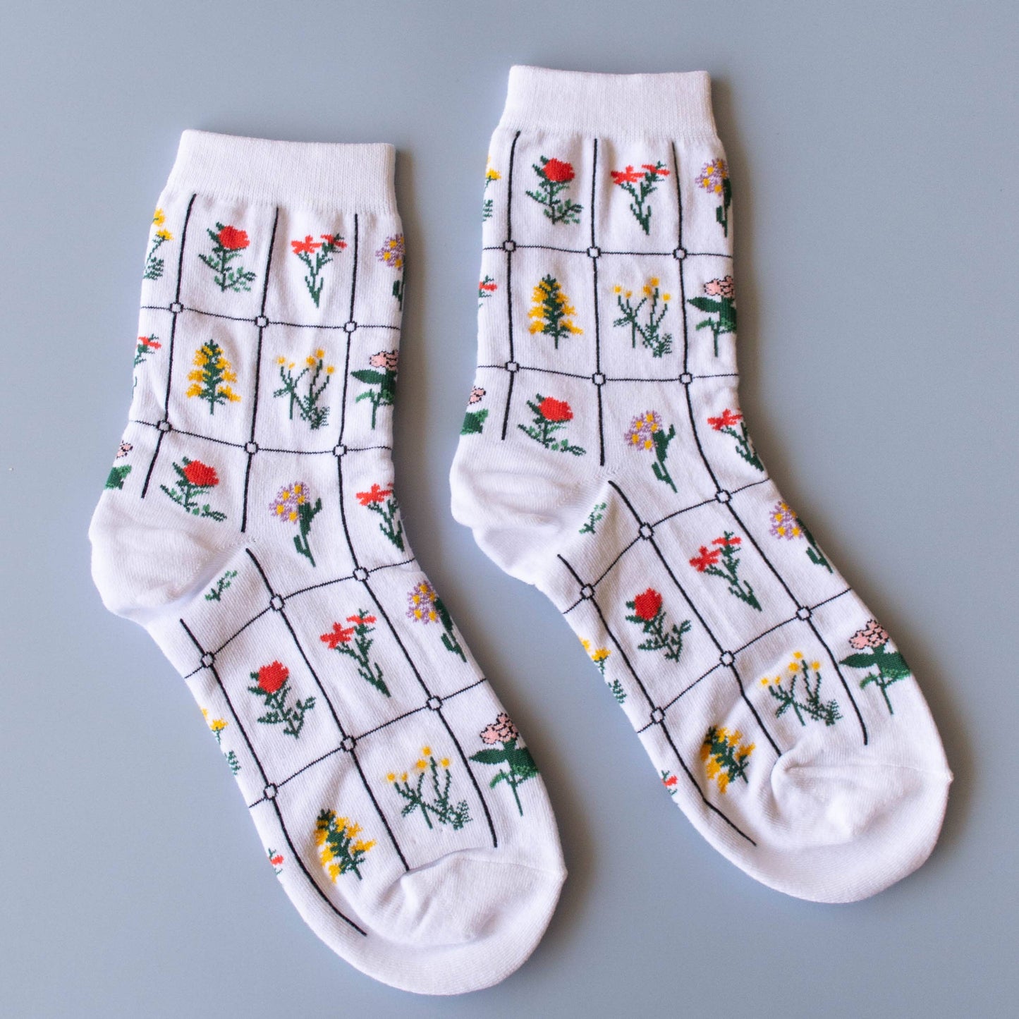 Tiepology | Botanical Garden | Socks