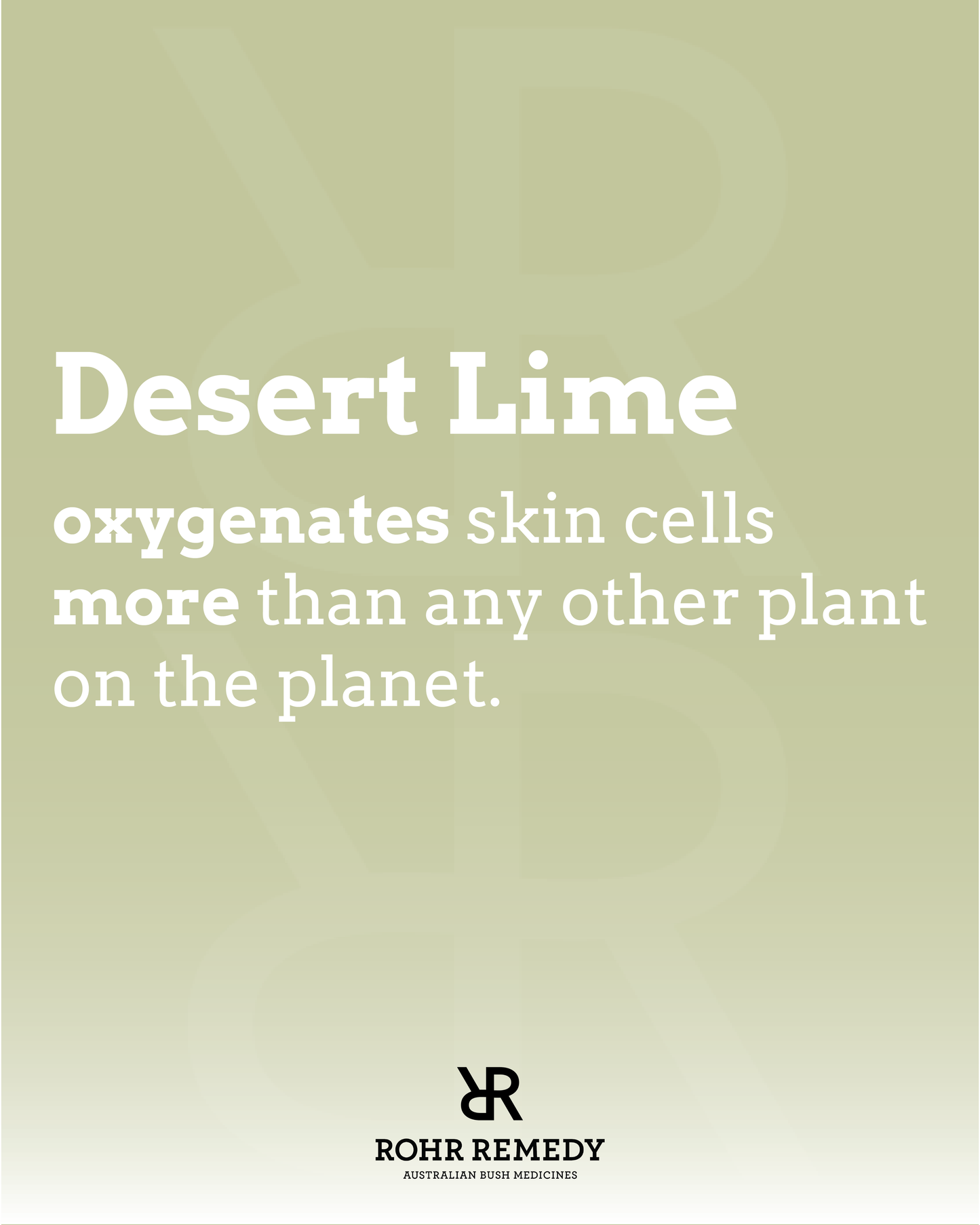 Rohr Remedy | Desert Lime Body Moisturiser