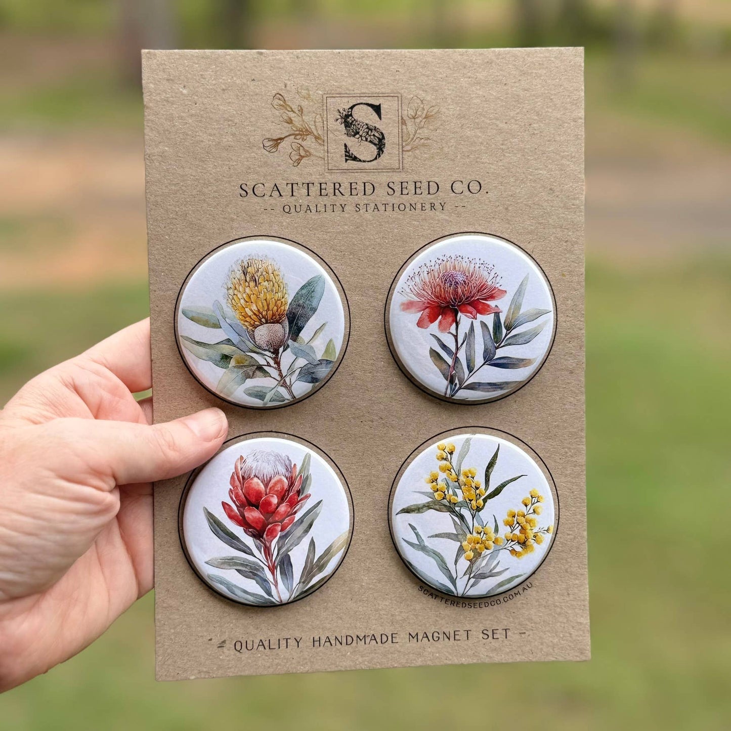 Scattered Seed Co | AUSTRALIAN FLORALS Large Magnets set of 4 - SET C
