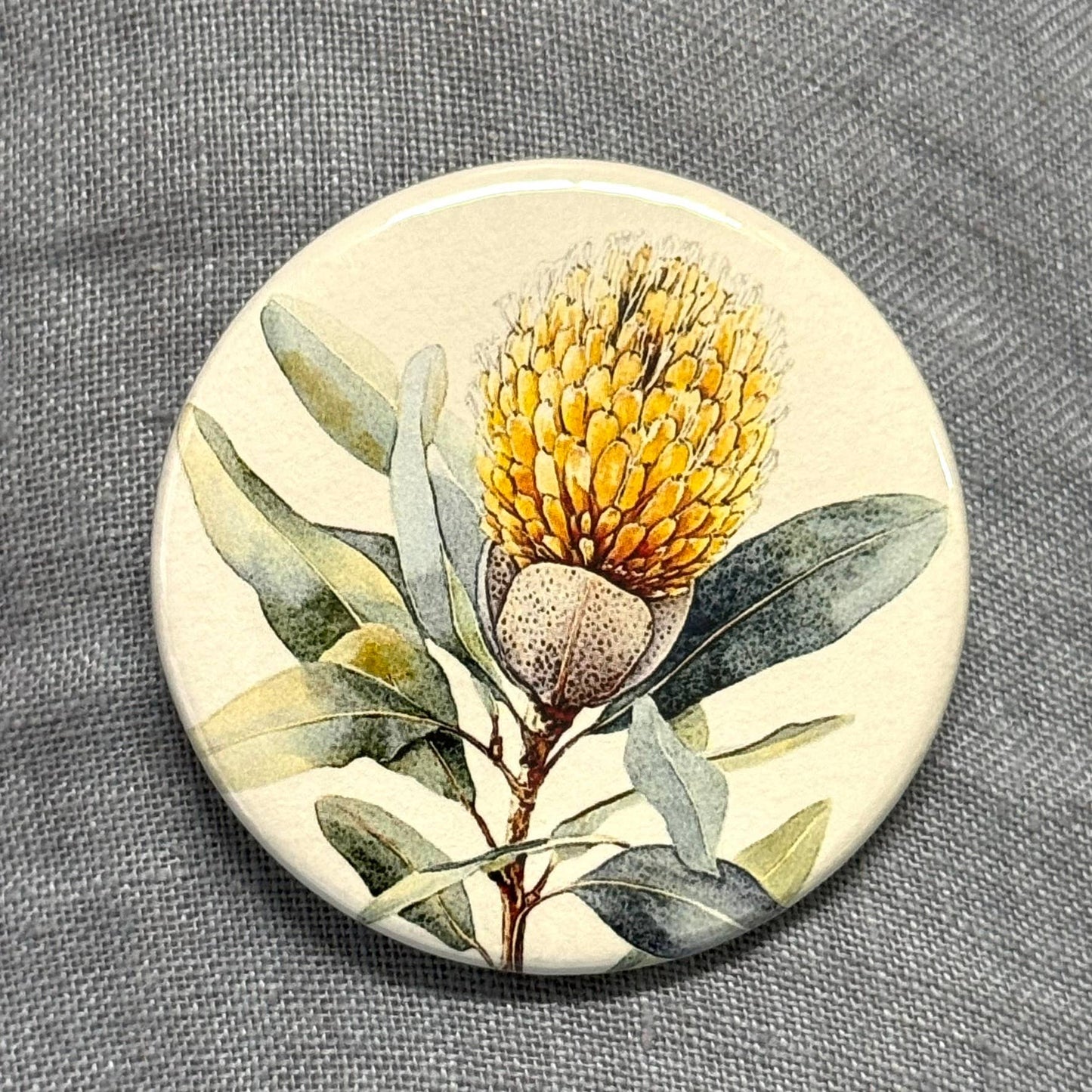 Scattered Seed Co | AUSTRALIAN FLORALS Large Magnets set of 4 - SET C