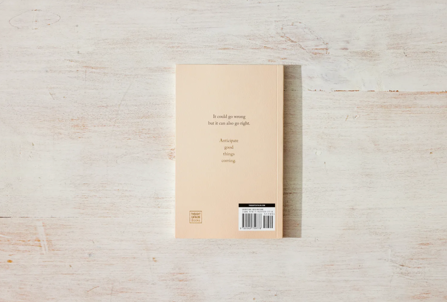Thought Catalog | Anticipate Good Things Coming | Book