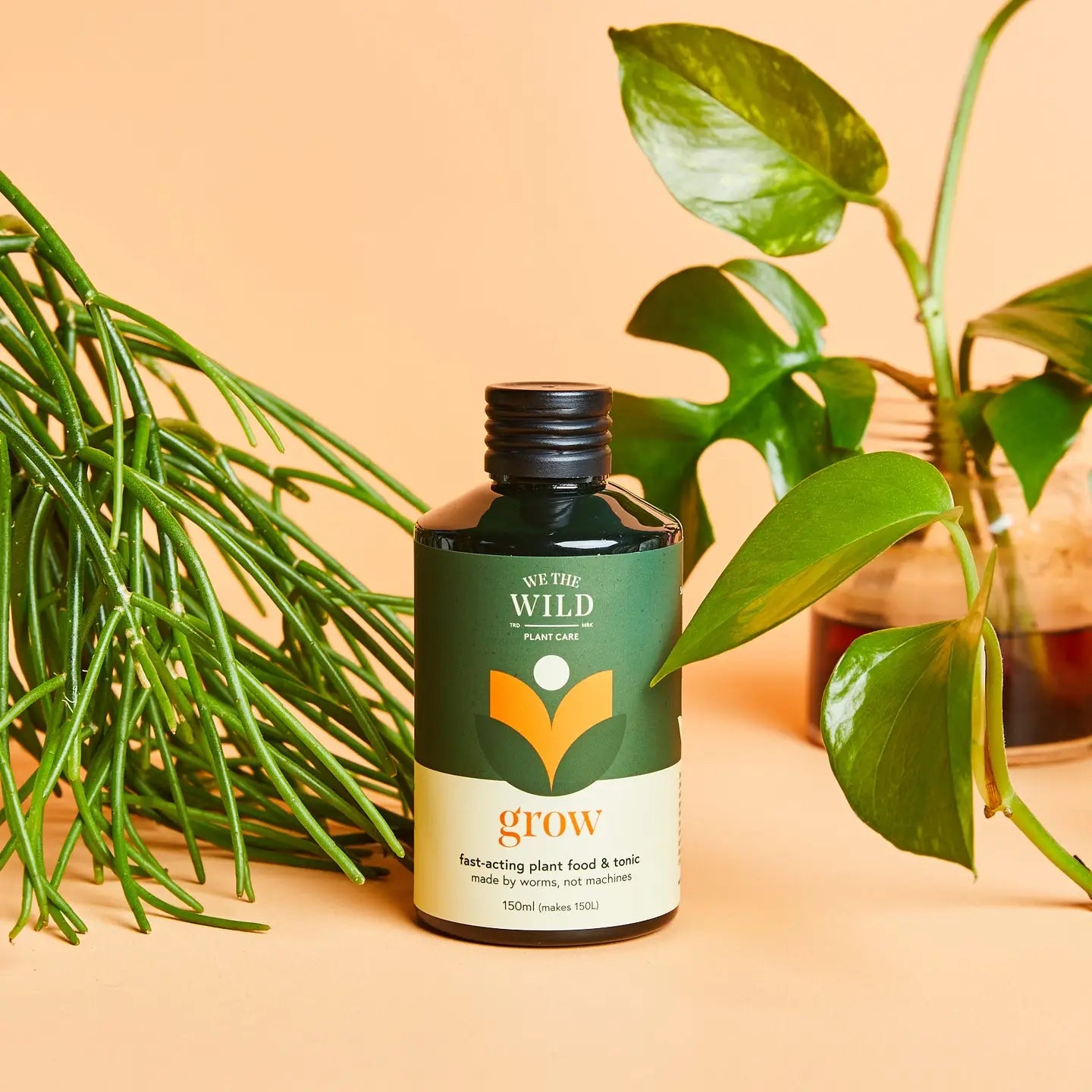 We The Wild Plant Care | Grow Plant Food & Tonic | CLEARANCE