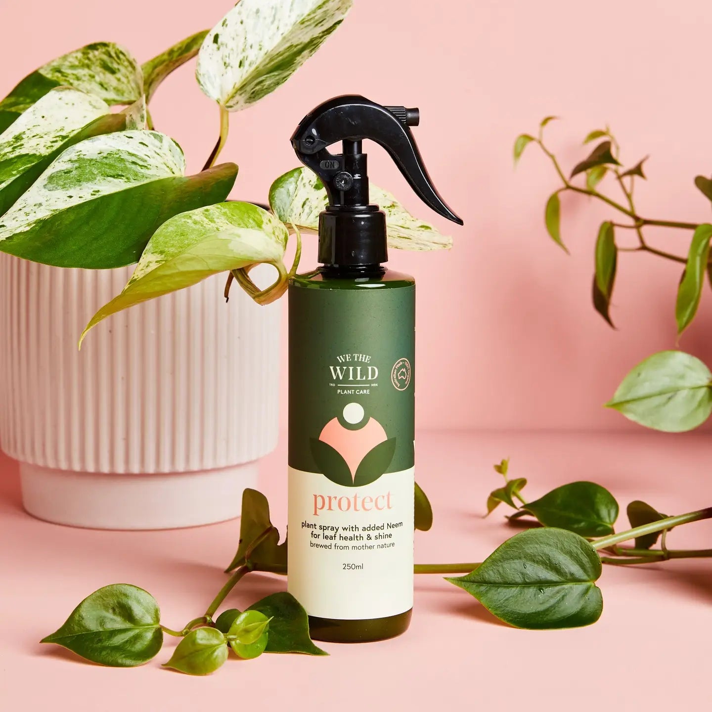 We The Wild Plant Care | Protect Spray With Neem | CLEARANCE