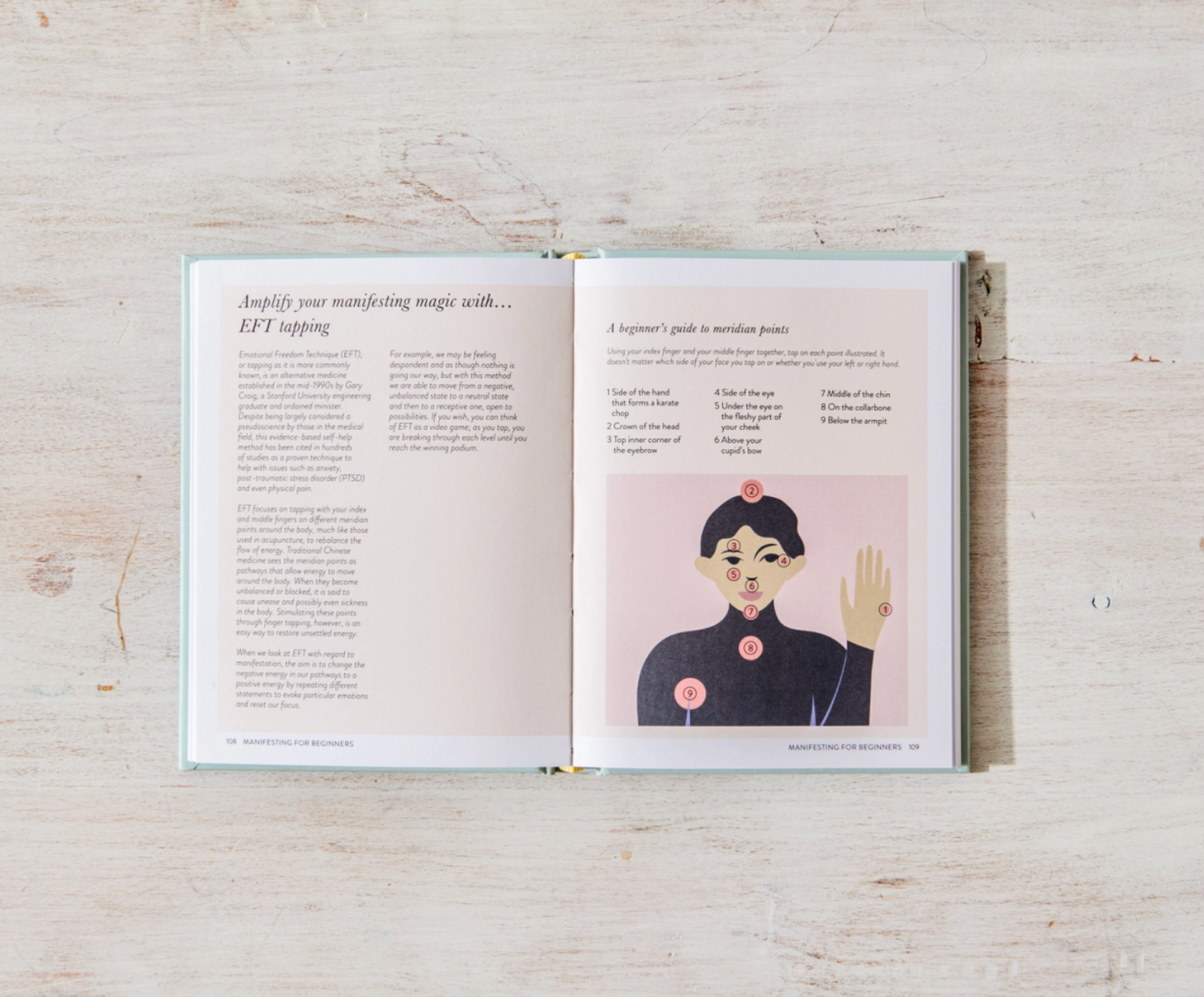 Thought Catalog | Manifesting For Beginners | Hardcover Book