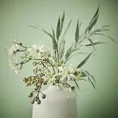 Floral Interiors | Flannel Flower | Cream Green