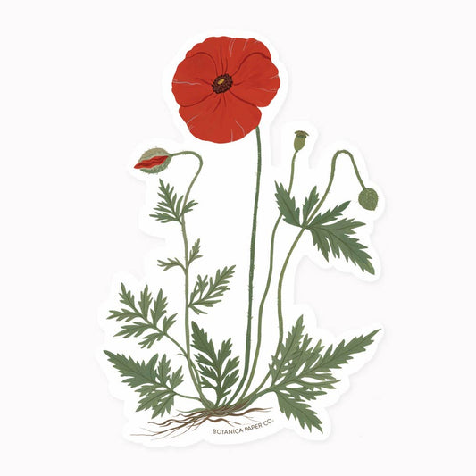 Botanica Paper Co | Poppy | Clear Vinyl Sticker