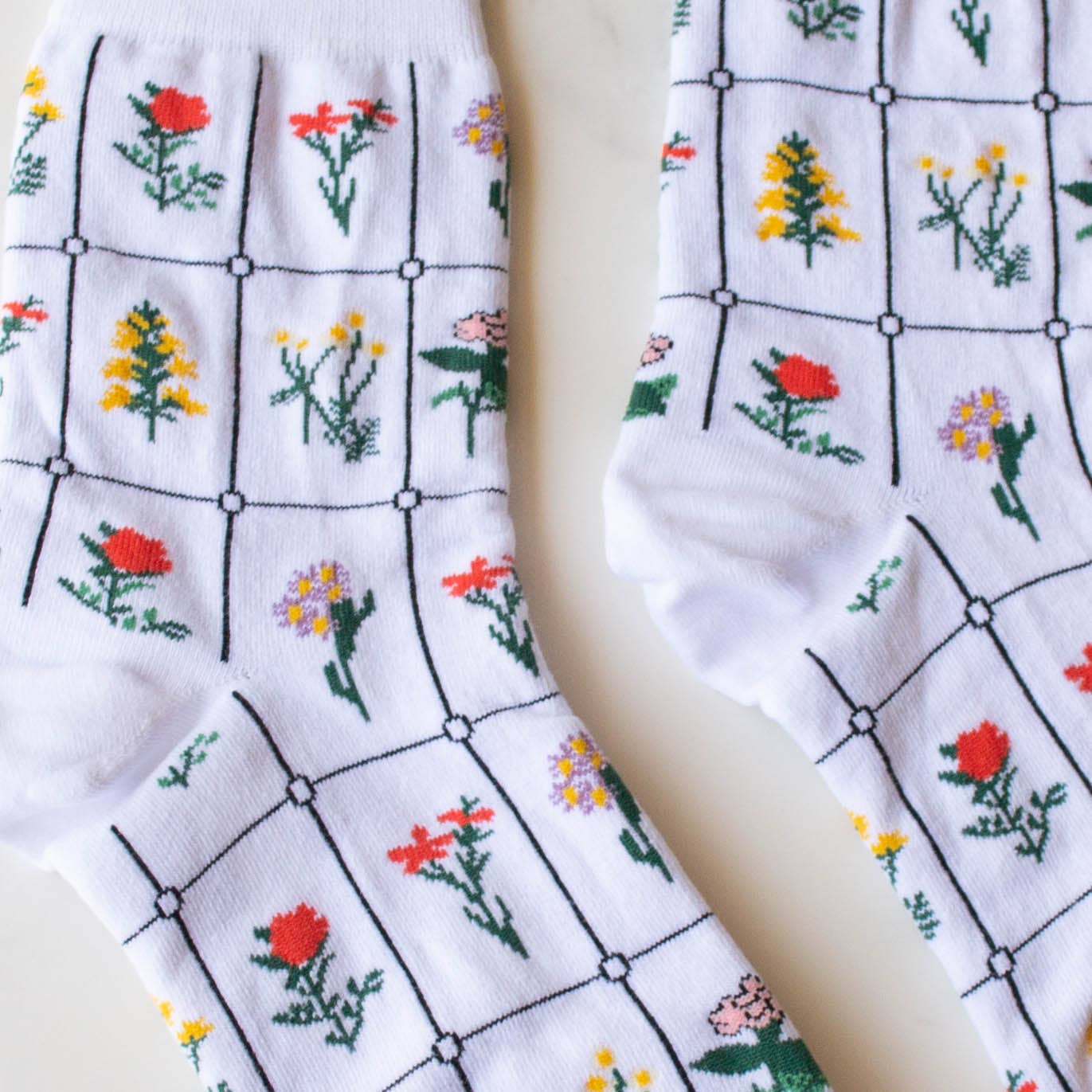 Tiepology | Botanical Garden | Socks