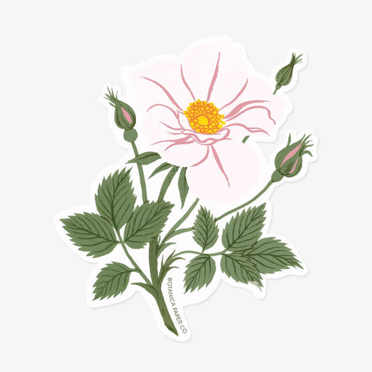 Botanica Paper Co | White Rose | Clear Vinyl Sticker