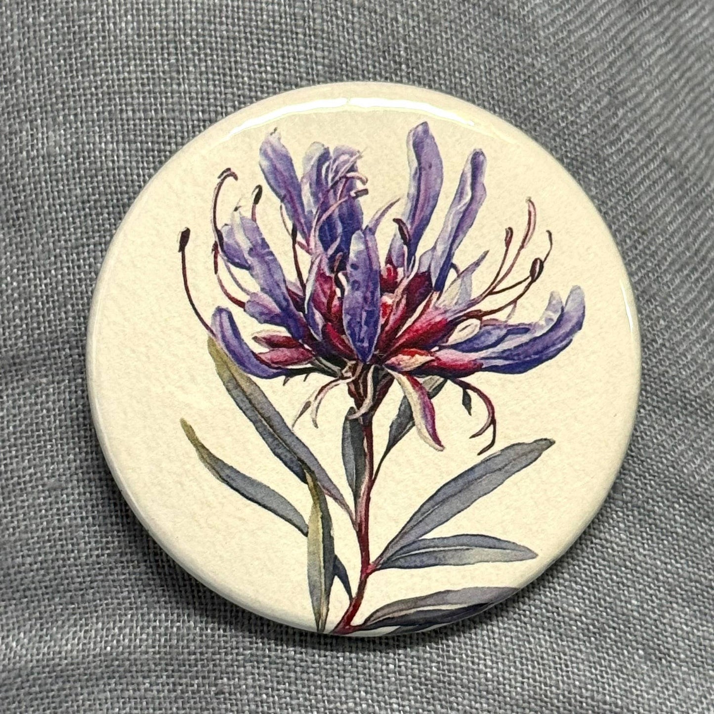 Scattered Seed Co | AUSTRALIAN FLORALS Large Magnets set of 4 - SET B