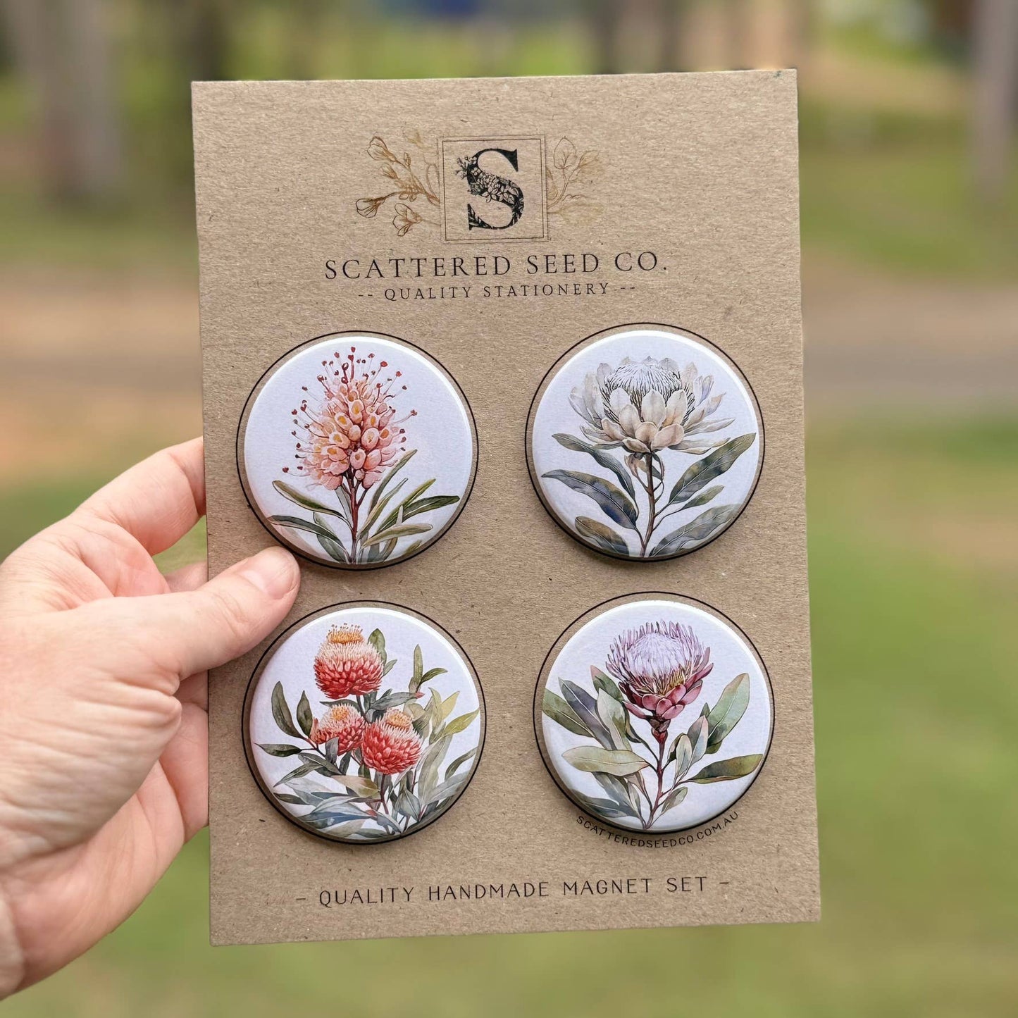 Scattered Seed Co | AUSTRALIAN FLORALS Large Magnets set of 4 - SET A