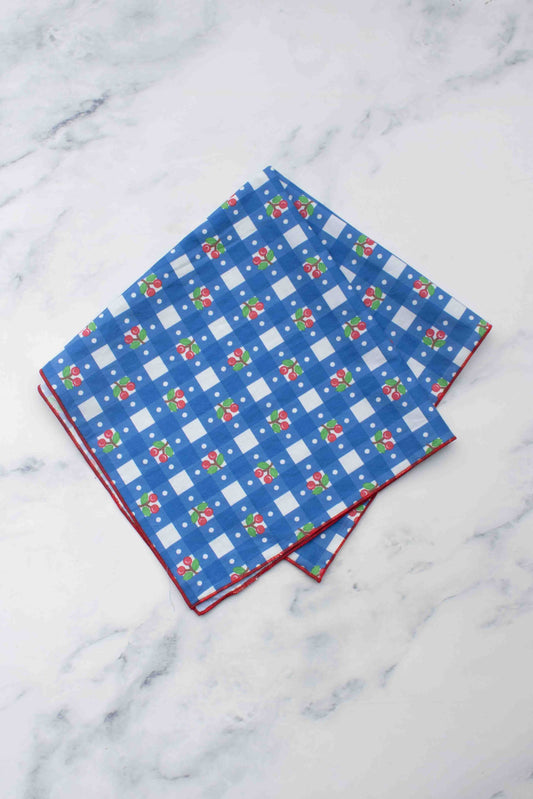 Tiepology | Cherry Gingham Square Blue | Scarf