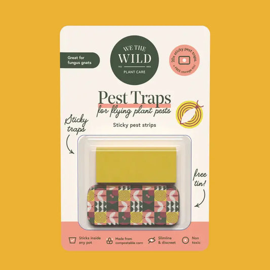 We The Wild Plant Care | Compostable Gnat Traps | CLEARANCE