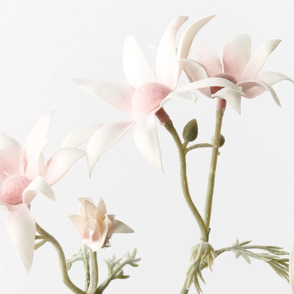 Floral Interiors | Flannel Flower | Light Pink