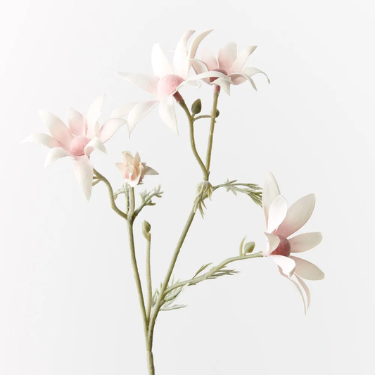 Floral Interiors | Flannel Flower | Light Pink