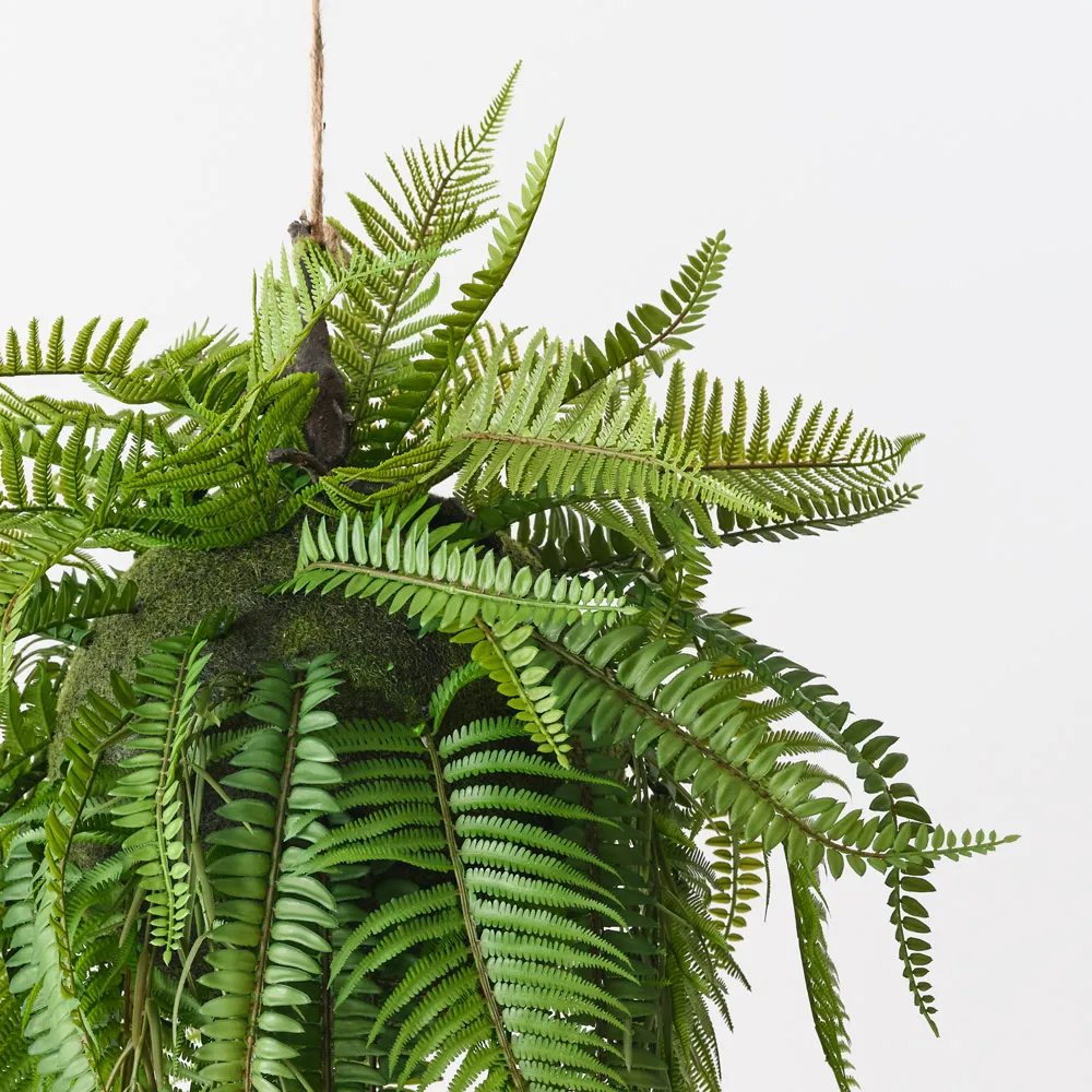 Floral Interiors | Fern Boston Hanging Ball