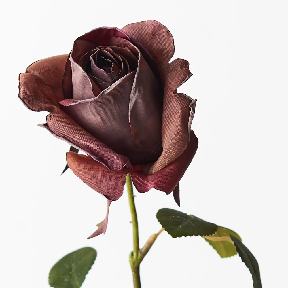 Floral Interiors | Livia Queen Rose Bud | Eggplant