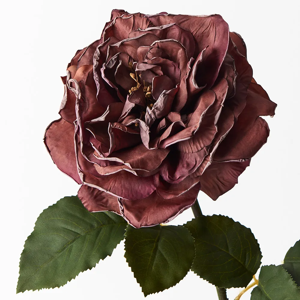 Floral Interiors | Livia Queen Rose | Eggplant