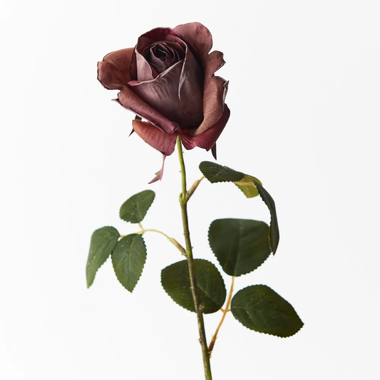 Floral Interiors | Livia Queen Rose Bud | Eggplant