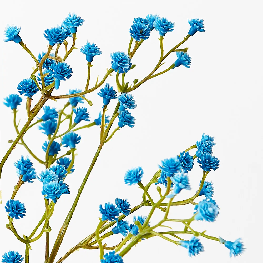 Floral Interiors | Baby's Breath | Bright Blue